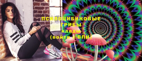 mdpv Богородск