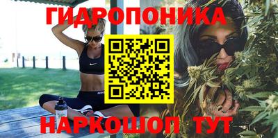 молекула духа Заводоуковск