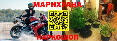 молекула духа Заводоуковск