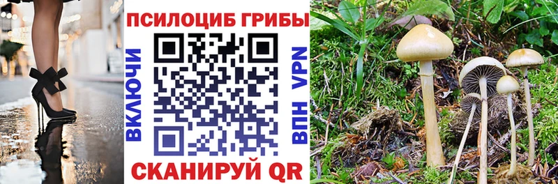 Псилоцибиновые грибы мицелий  Городец 