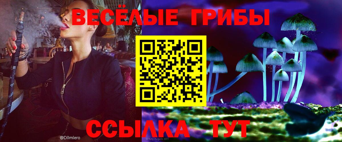 Городец  Псилоцибиновые грибы GOLDEN TEACHER  Псилоцибиновые грибы Cubensis  Вход с VPN 